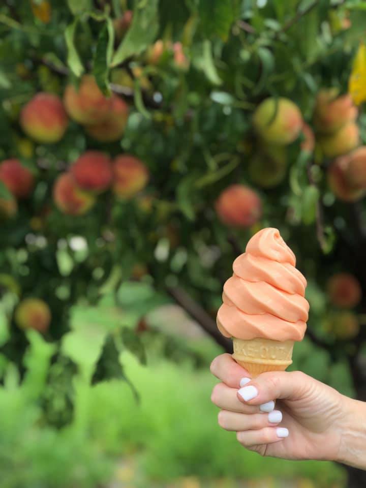 ice cream cone in orchard